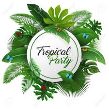 Tropical Party Decorations