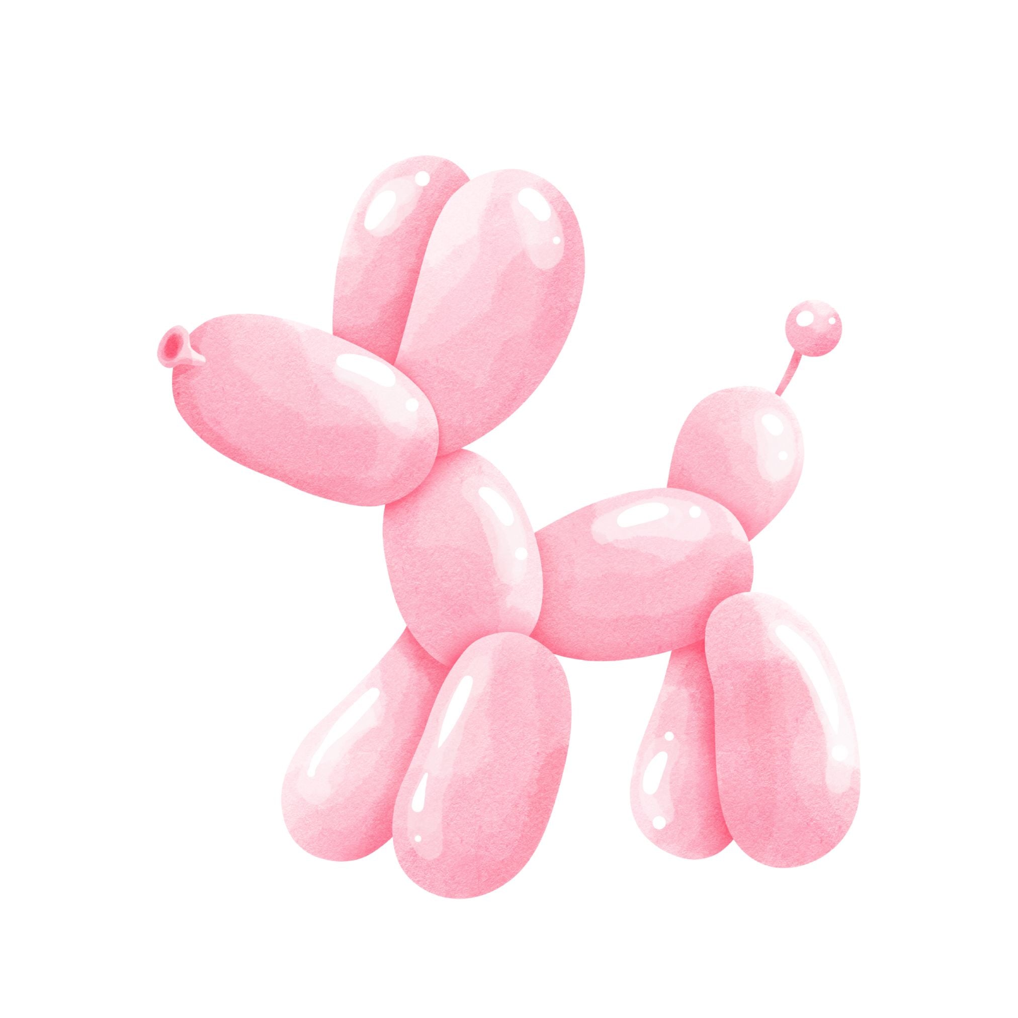 Latex Balloons - Modelling Balloon