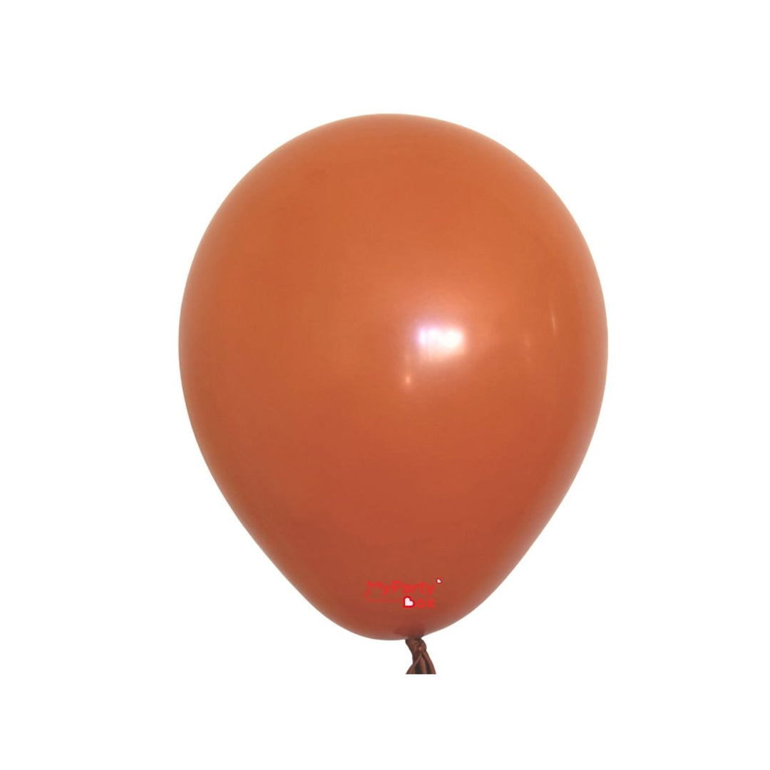 Sempertex Sunset Orange Latex Balloon Regular Size 12"(30cm)