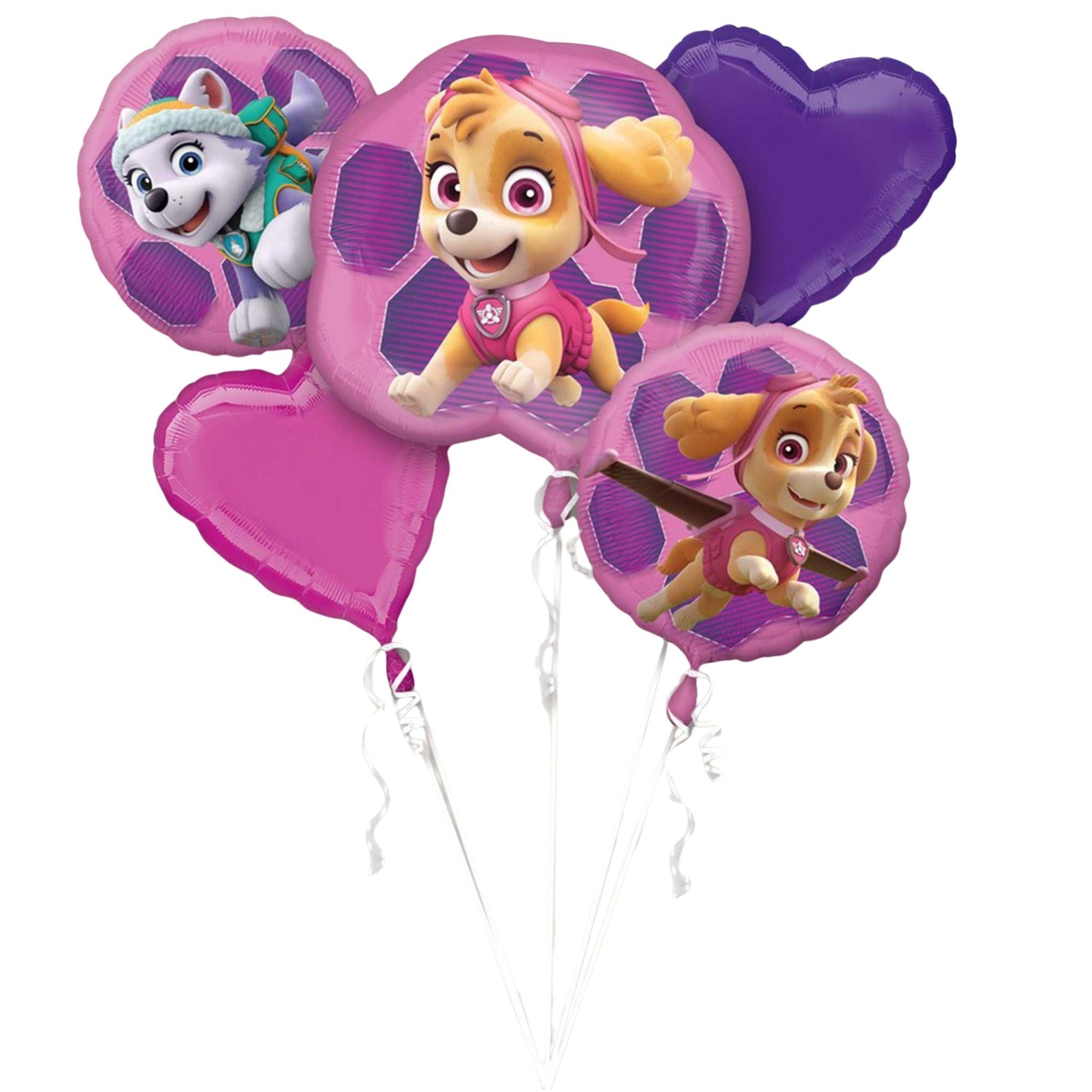 Paw Patrol Girls Balloon Bouquet (PC5)