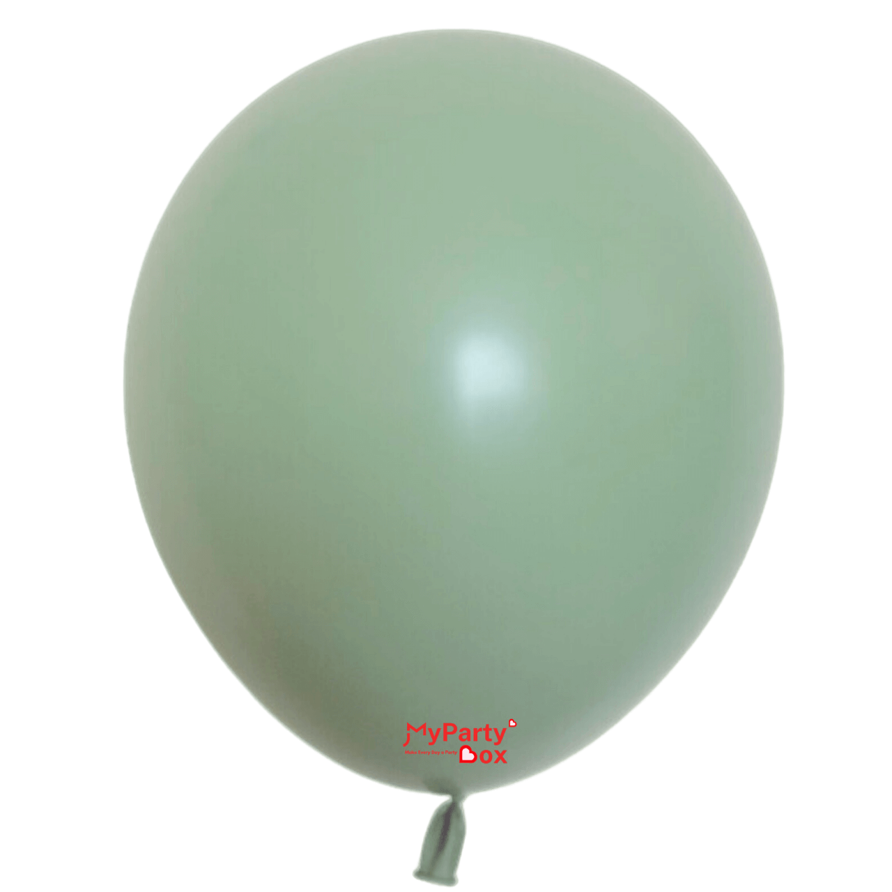 Eucalyptus  Latex Balloon