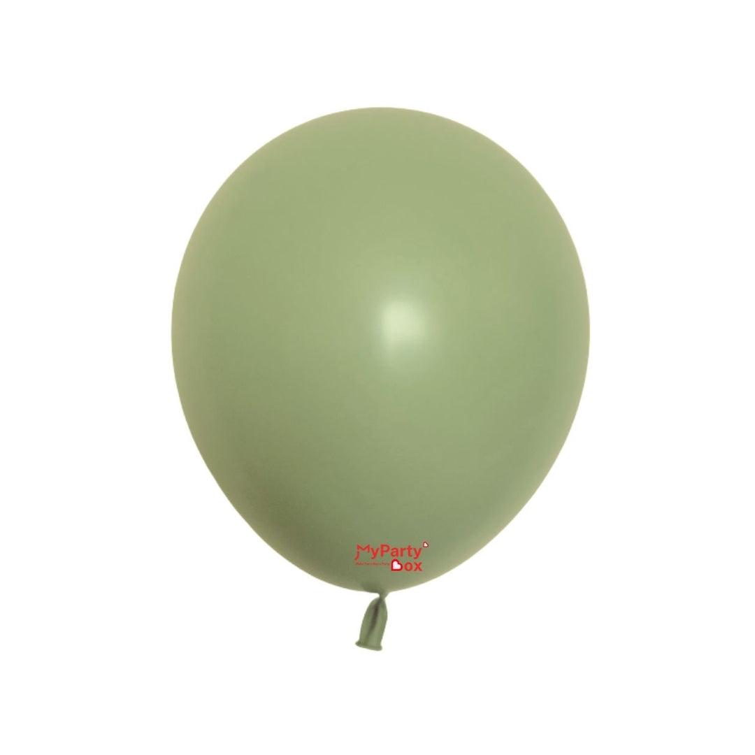 Sempertex Eucalyptus Latex Balloon Regular Size 12"(30cm)