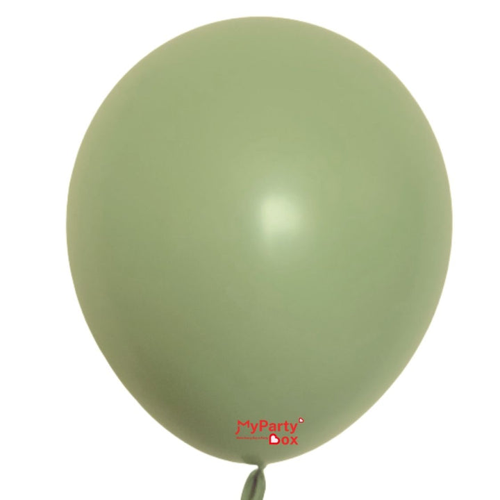 Sempertex Eucalyptus Latex Balloon Large Size 18"(45cm)