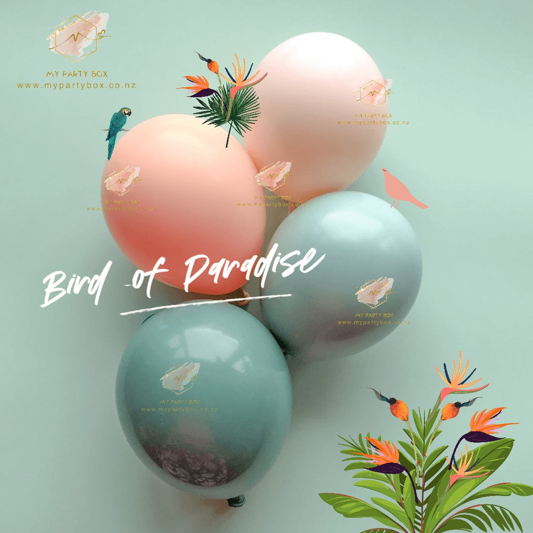 Luxe My Party Box Bird of Paradise Balloon Garland DIY Kit with Orange, blush, willow, empower mint