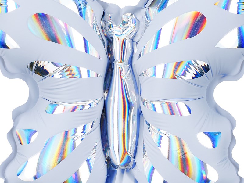 Butterfly-shaped object with rainbow iridescence on a white background