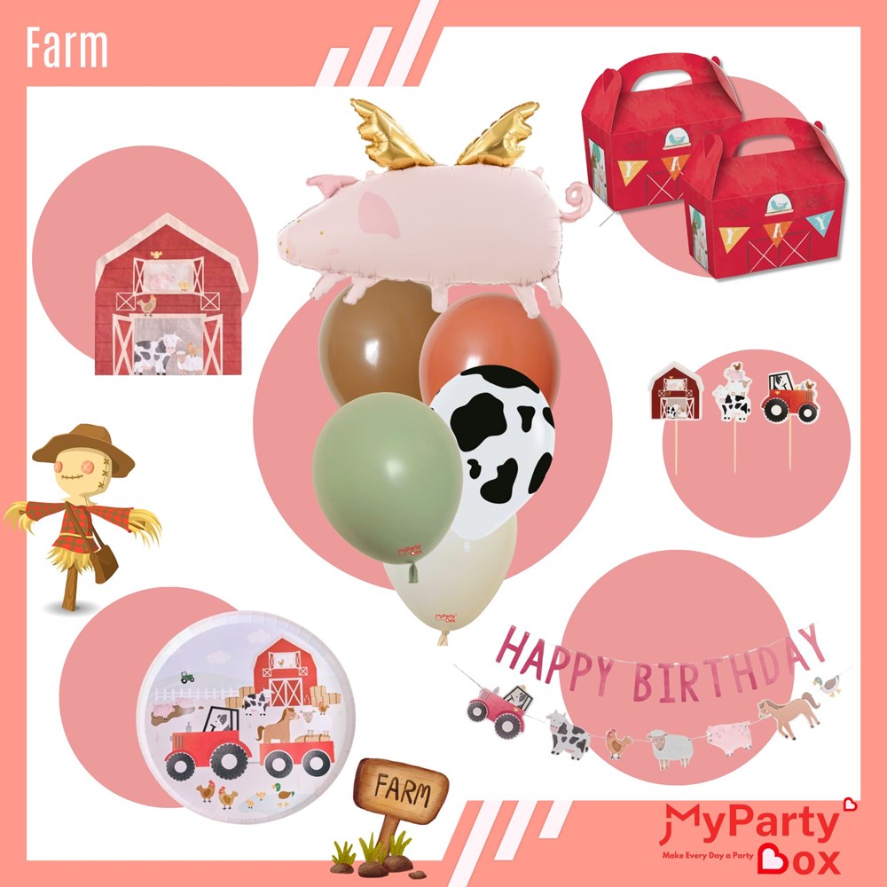 Farm Theme Mini Party Box