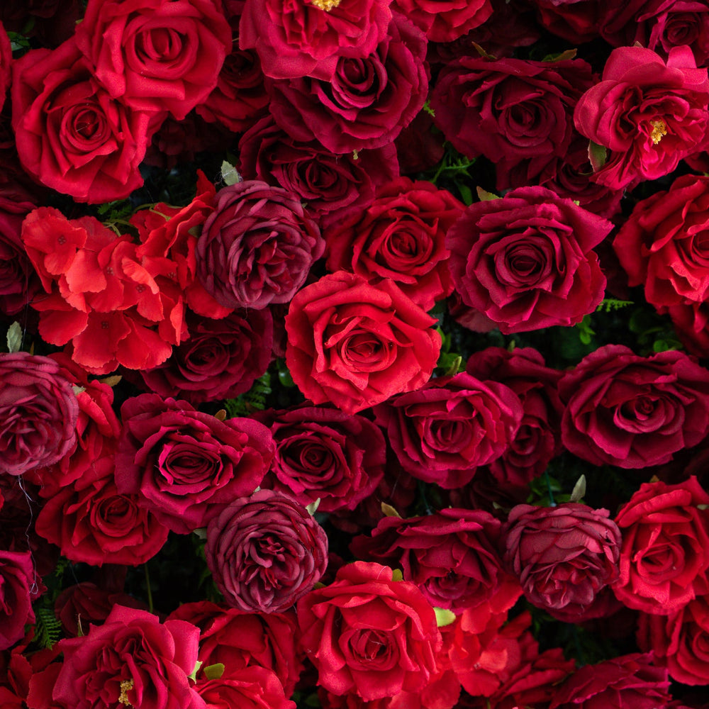 Close-up of numerous red roses with a dark background