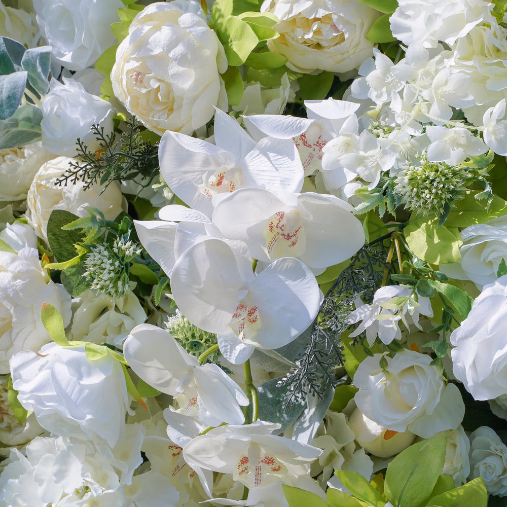 Close-up of white flowers with green leaves