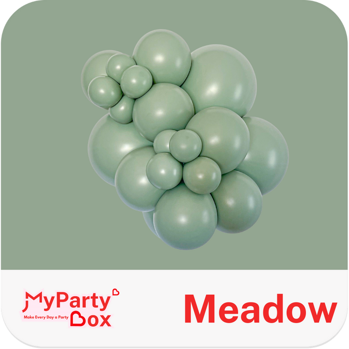 Balloon cluster with 'MyPartyBox' and 'Meadow' text on a green background