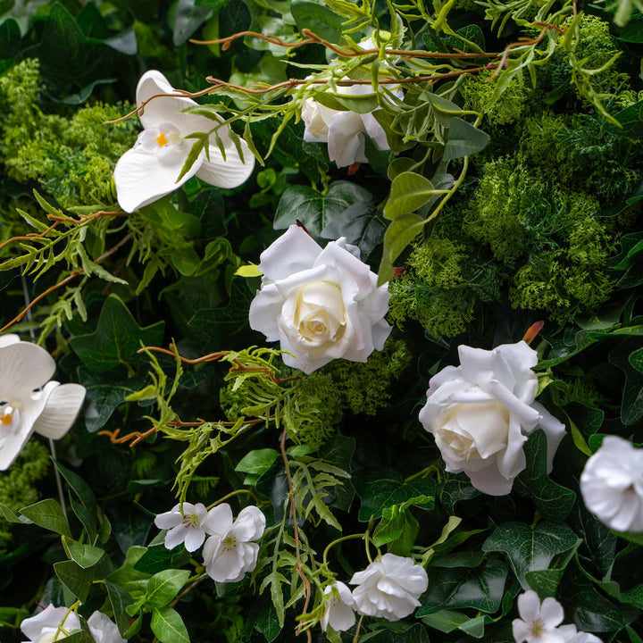 White flowers with green leaves and stems on a dark green background