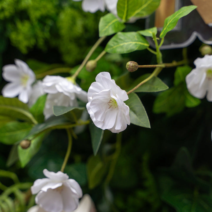 Close-up of white flowers with green leaves on a blurred natural background