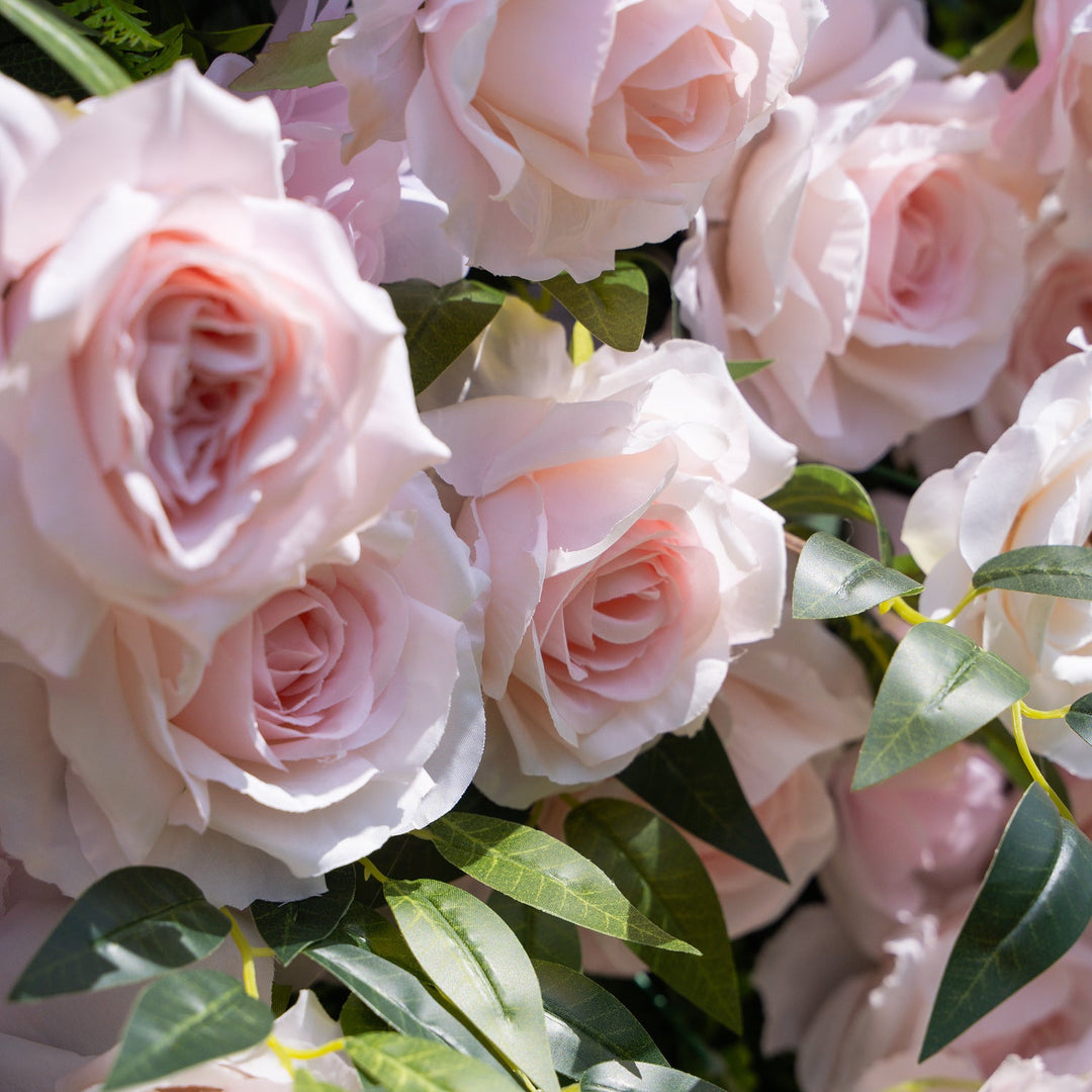 Close-up of pink roses with green leaves