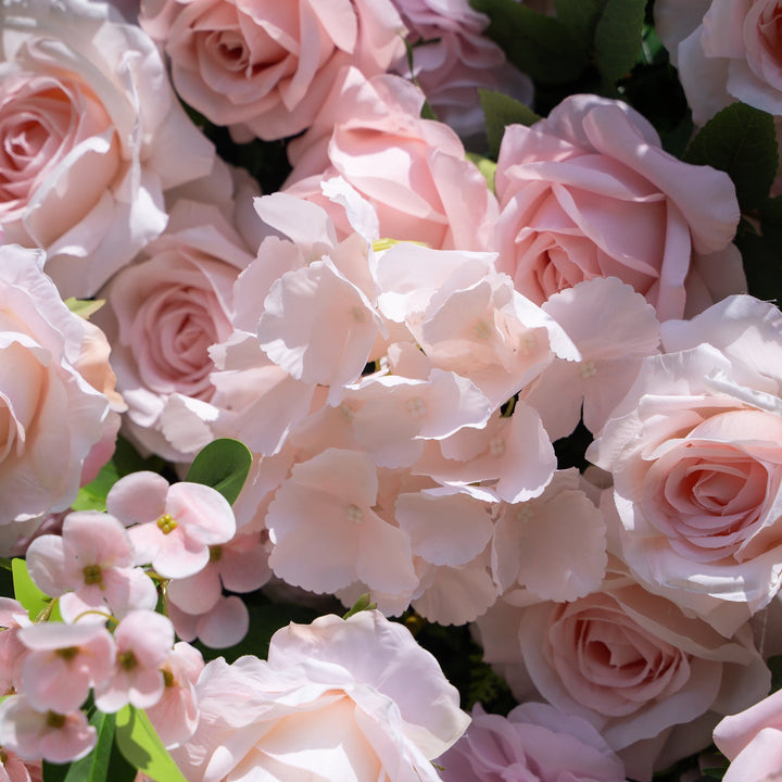 Close-up of pink and white flowers with green leaves