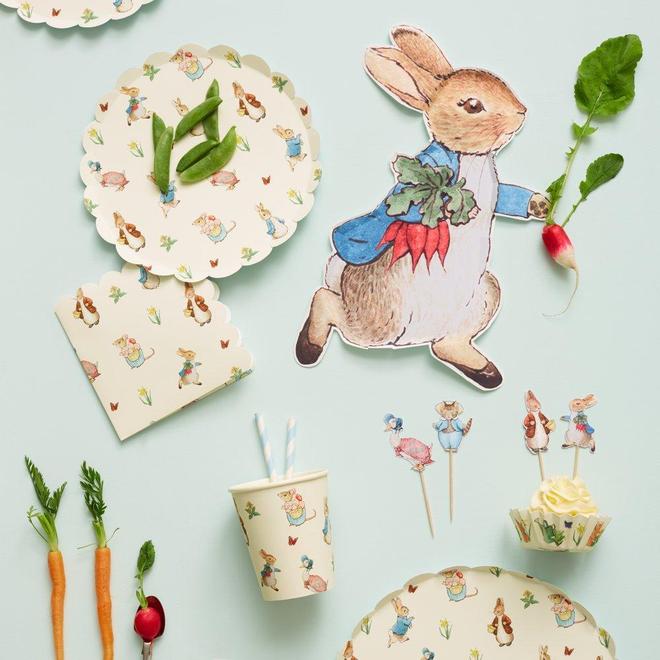 MeriMeri Peter Rabbit & Friends Dinner Plates (PK8)